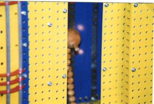 1998 Exincourt image 03