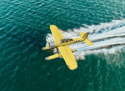 2 avion Tintin Peter